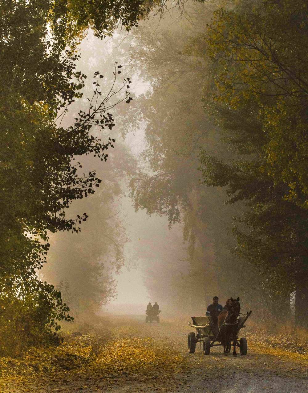 dream land von Razvan Lazarescu