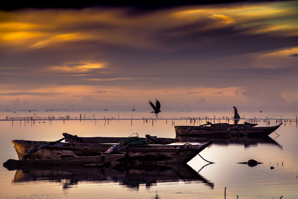 morning search von Razvan Teodoreanu