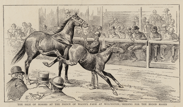 The Sale of Horses at the Prince of Waless Farm at Wolferton, bidding for the Brood Mares von Reginald Thomas Cleaver
