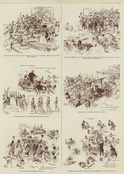 The Home Rule Session, Some Daily Graphic Sketches in Parliament von Reginald Thomas Cleaver