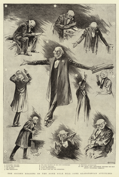 The Second Reading of the Home Rule Bill, some Gladstonian Attitudes von Reginald Thomas Cleaver