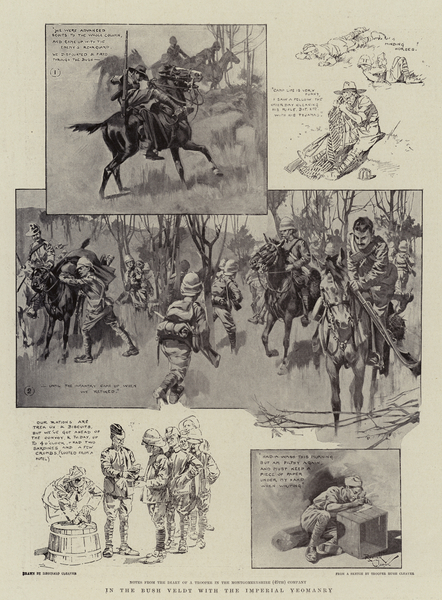 In the Bush Veldt with the Imperial Yeomanry von Reginald Thomas Cleaver