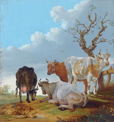 Vier Kühe auf der Weide, vorn sitzt ein Frosch