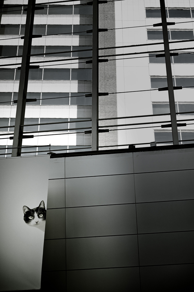 By chance von Reiko kiri