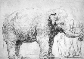 Ein Elefant ( Elefantenkuh Hansken)