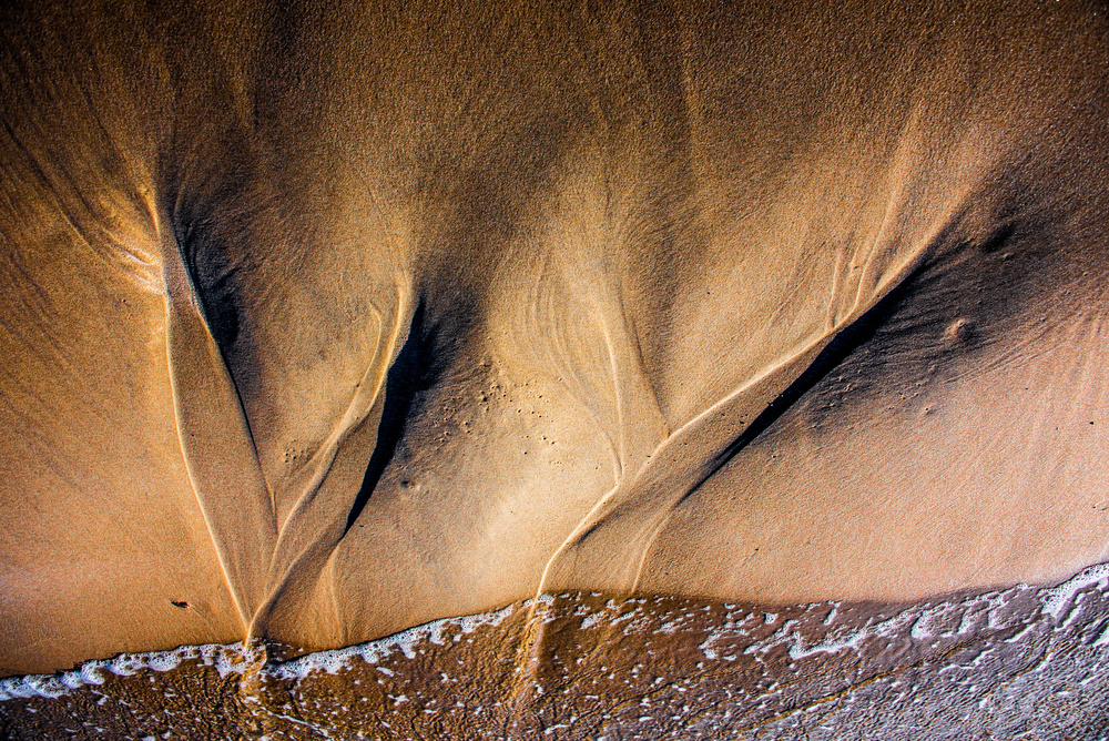 nautical patterns - trees von Renata Łacina