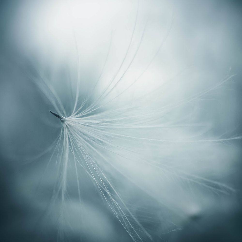 lightness von Renate Wasinger