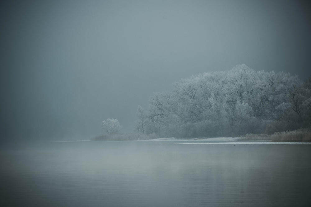 foggy von Renate Wasinger