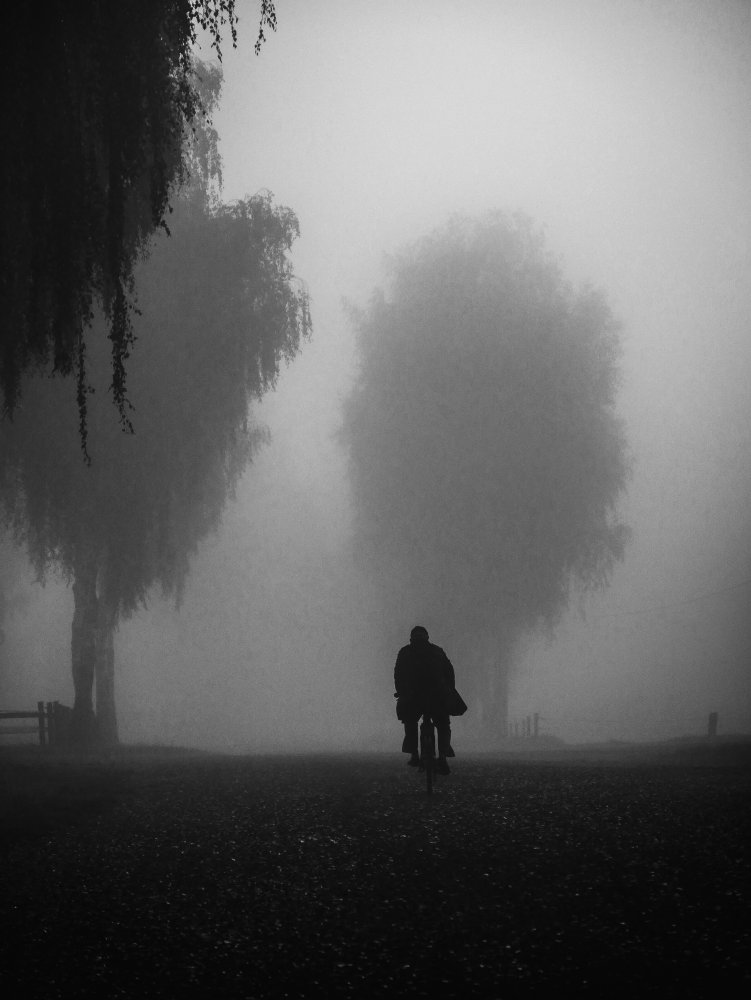 sunday morning von Renate Wasinger