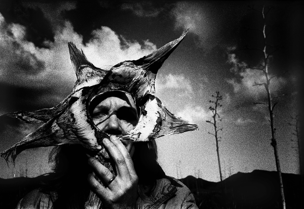 Agave II. von renato bartolomei