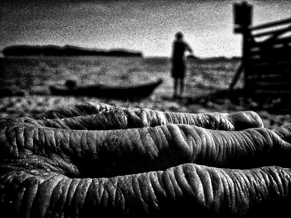 Before  the wave. von renato bartolomei