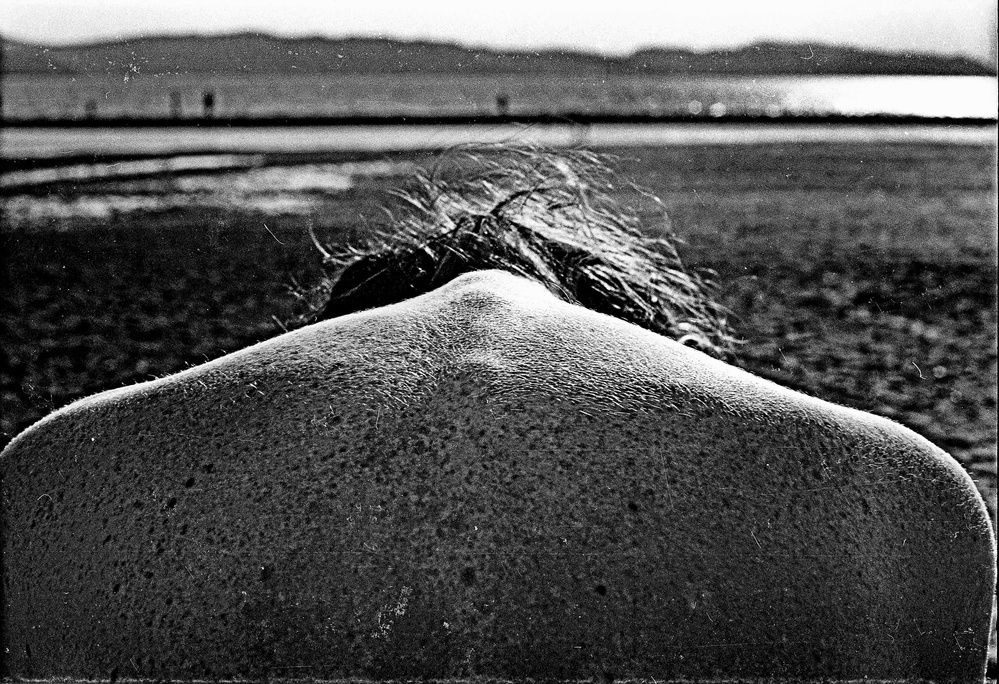 Back. von renato bartolomei