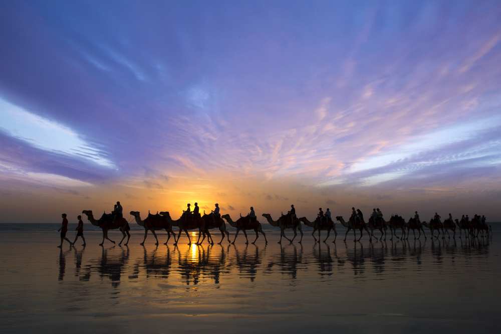 Sunset Ride von Renee Doyle