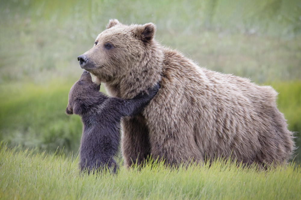 When Love is Love von Renee Doyle