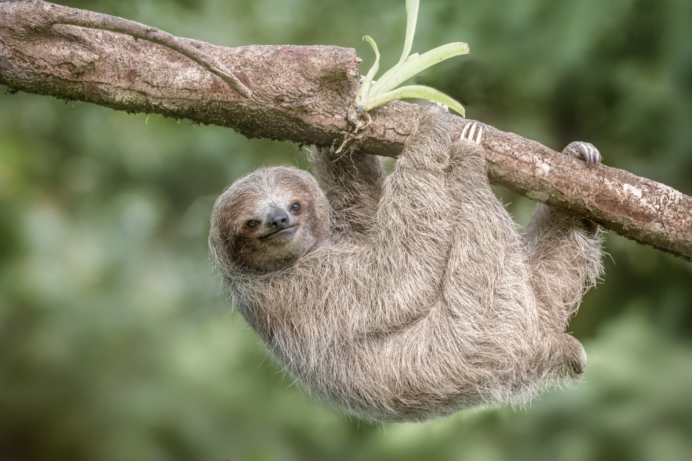 Wanna Hang Out von Renee Doyle