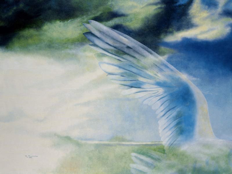 Flügelschlag von Renée Rauchalles