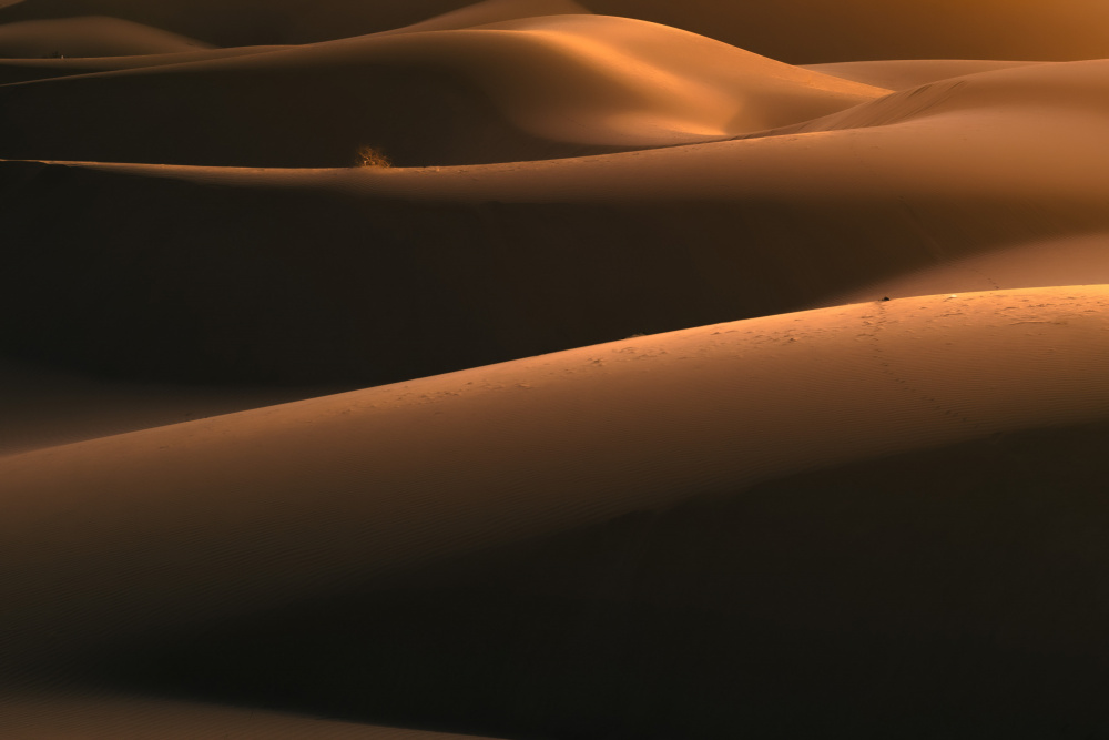 Light in Desert von Reza Mohammadi