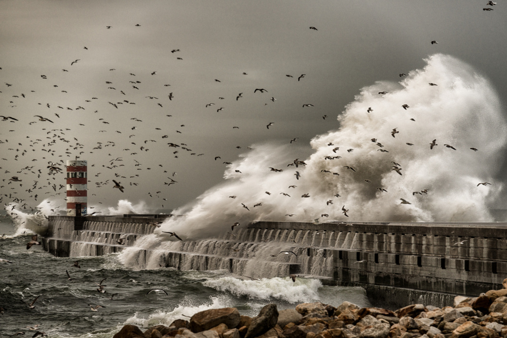 Oh dear, what a mess von Ricardo Leal