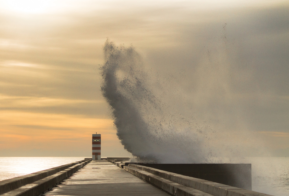 Impact von Ricardo Mateus