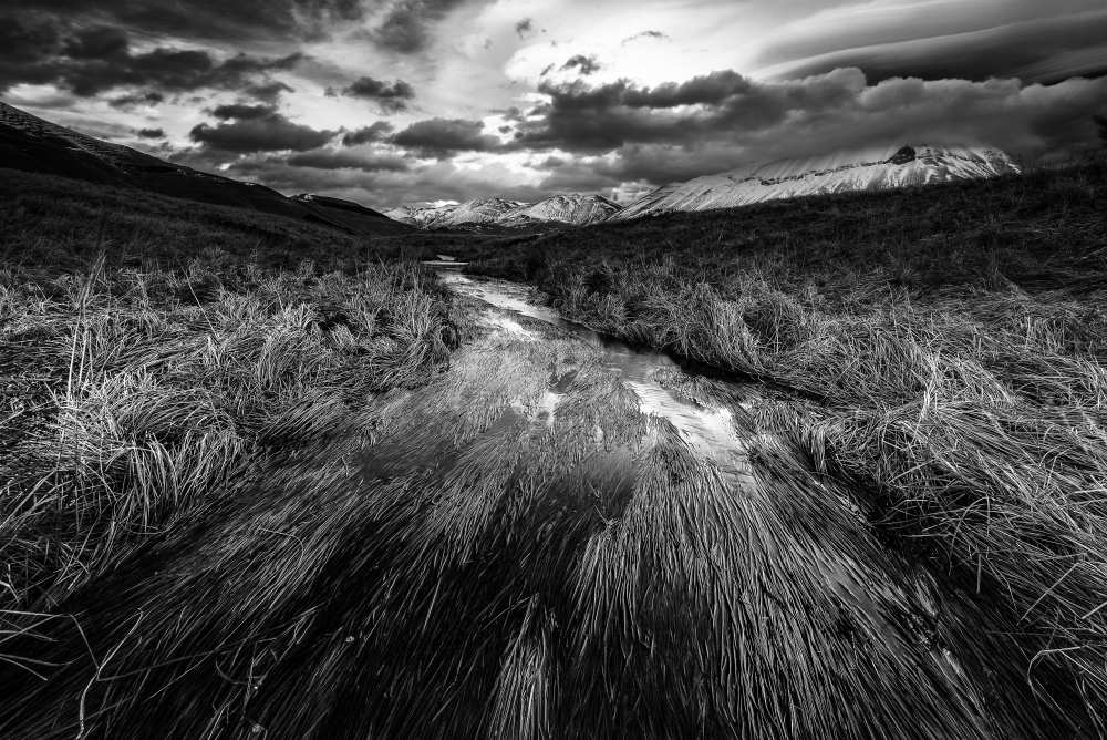 Castelluccio di Norcia,rivoli d'acqua von Riccardo Lucidi