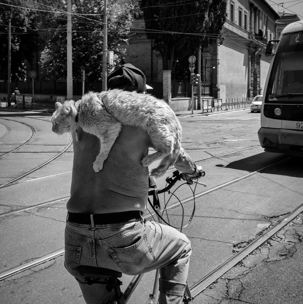 untitledl von Riccardo Lucidi