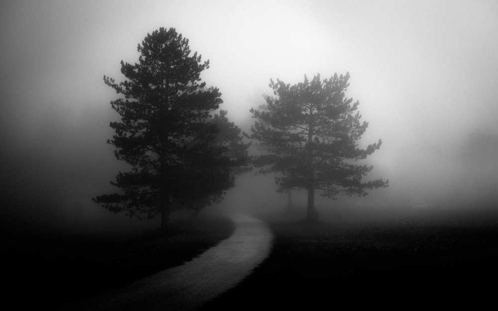 Untitled von Riccardo Lucidi