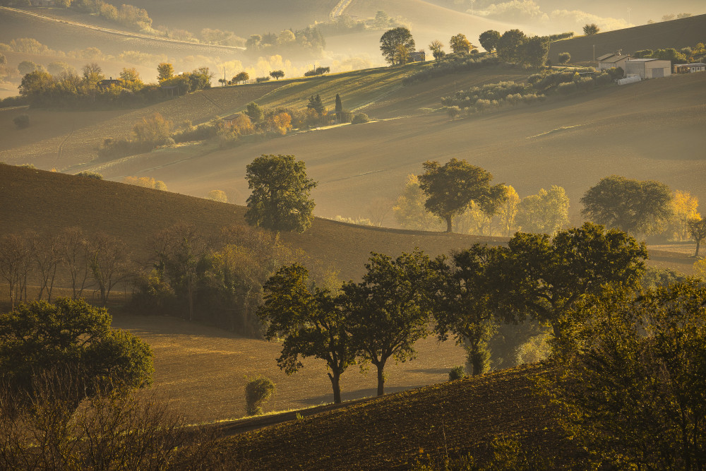 Autumn mists von Riccardo zappelli