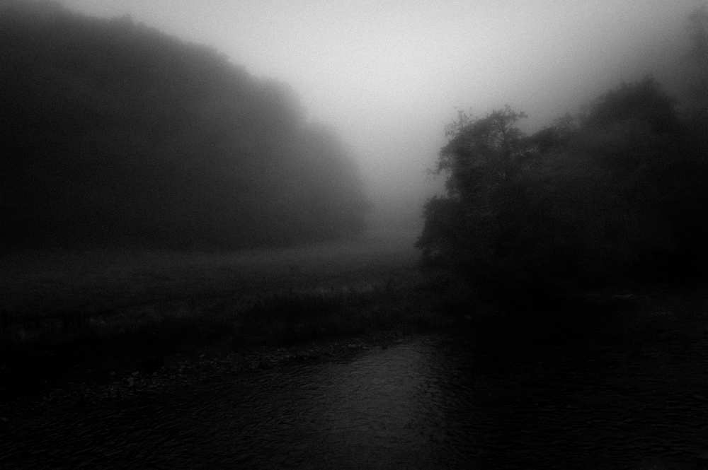 Stop and Listen she said von Richard Bland