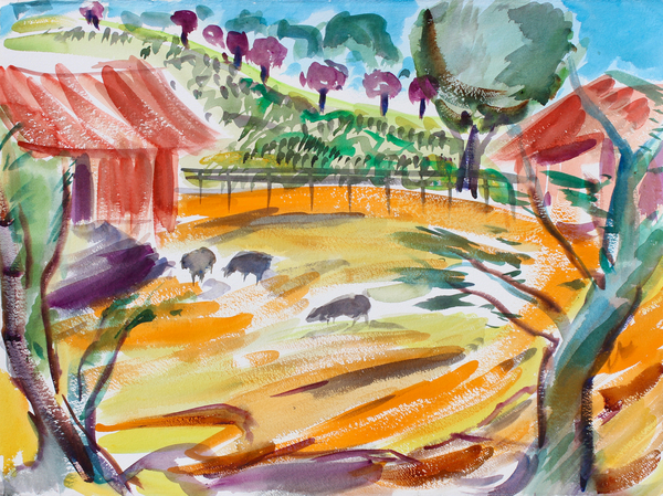 Barnyard with Sheep, Napa Valley von Richard Fox