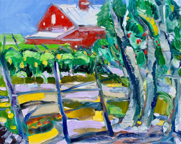 Eucalyptus and Vineyard, Napa von Richard Fox