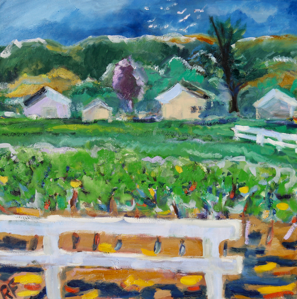 Vineyard and Fence, Napa von Richard Fox