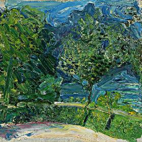 Uferstraße bei Gmunden