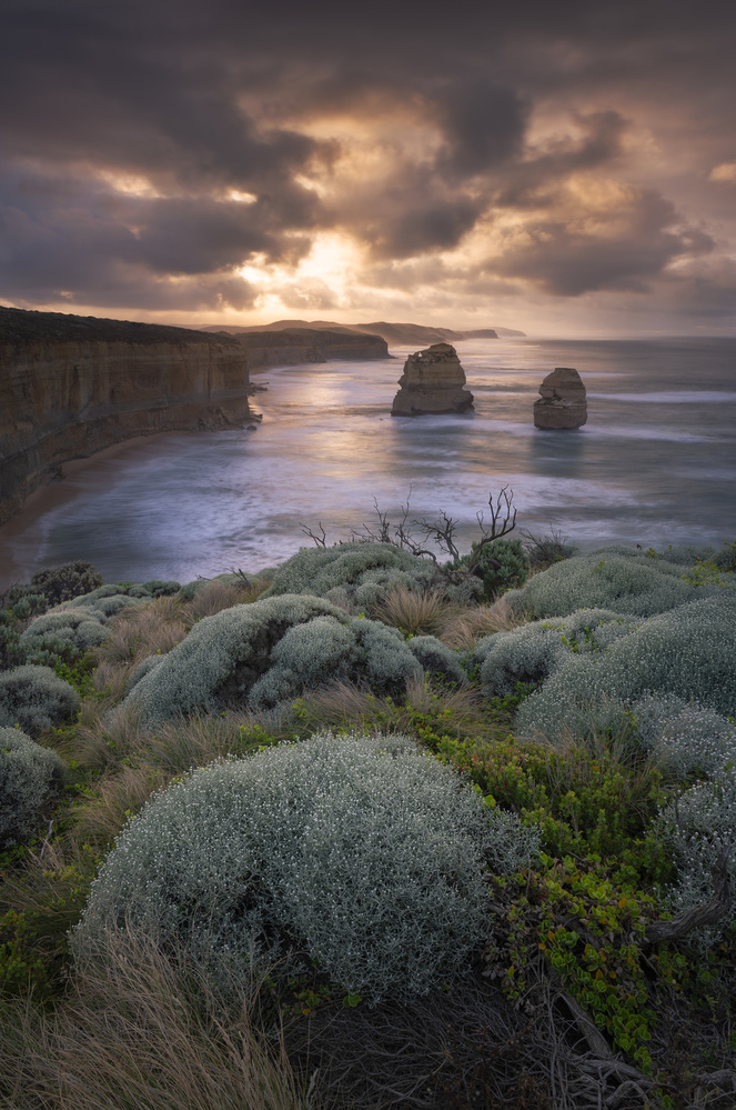 Luminous Dawn von Richard Vandewalle