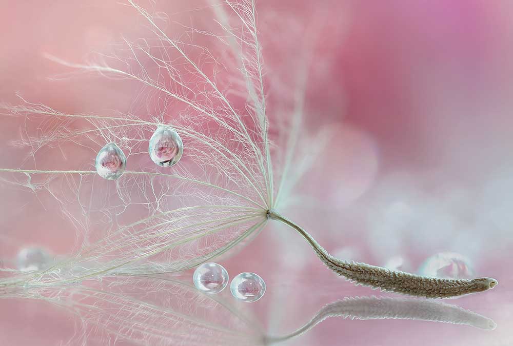 Zwei von uns von Rina Barbieri