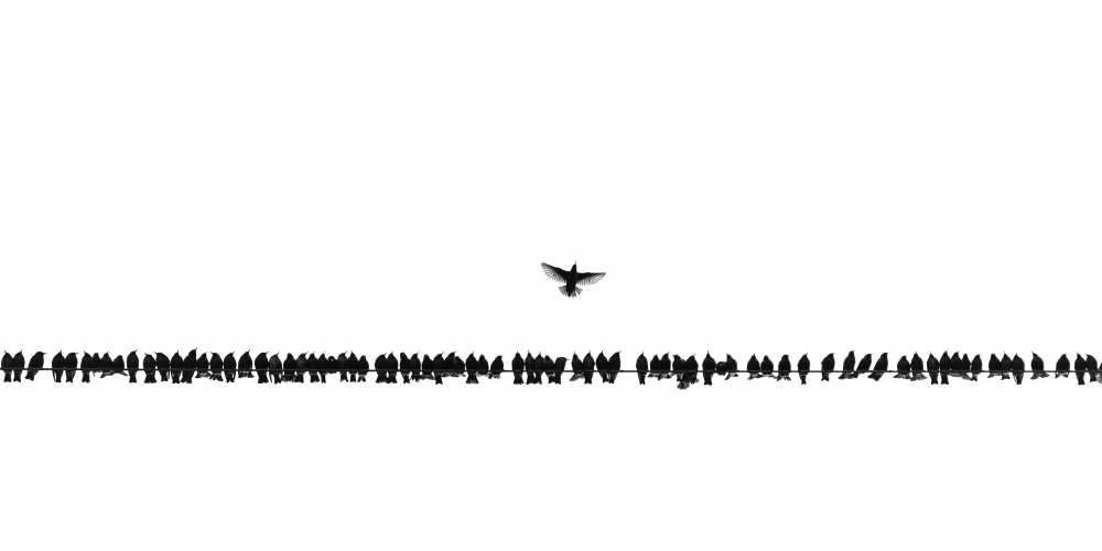 We warn you Icarus, not too close to the sun von Rob Blanken