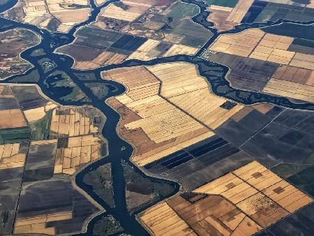 Delta Farmland