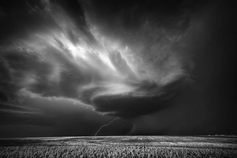 Kansas Farm von Rob Darby