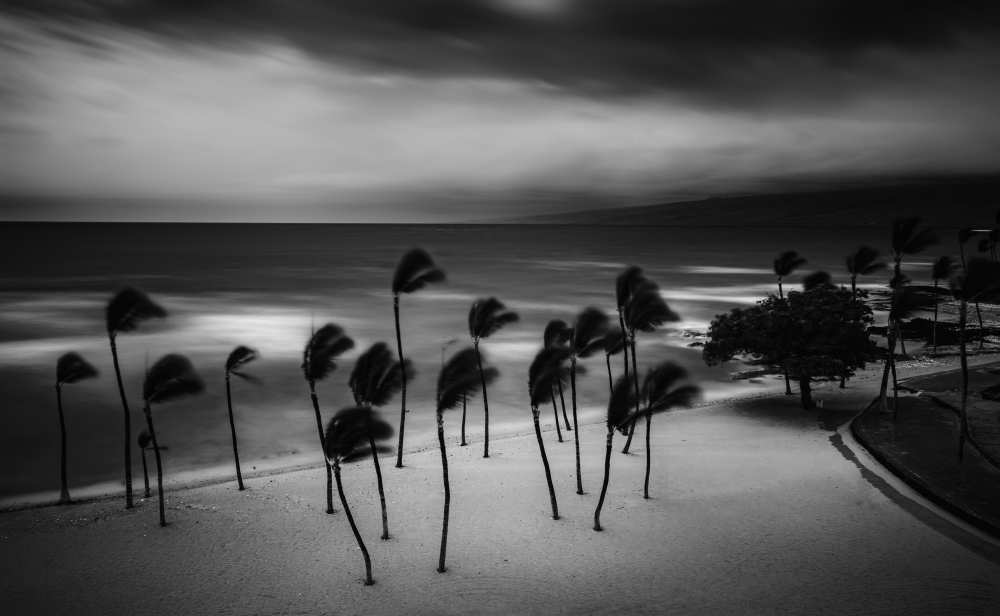 Tropical Storm von Rob Darby