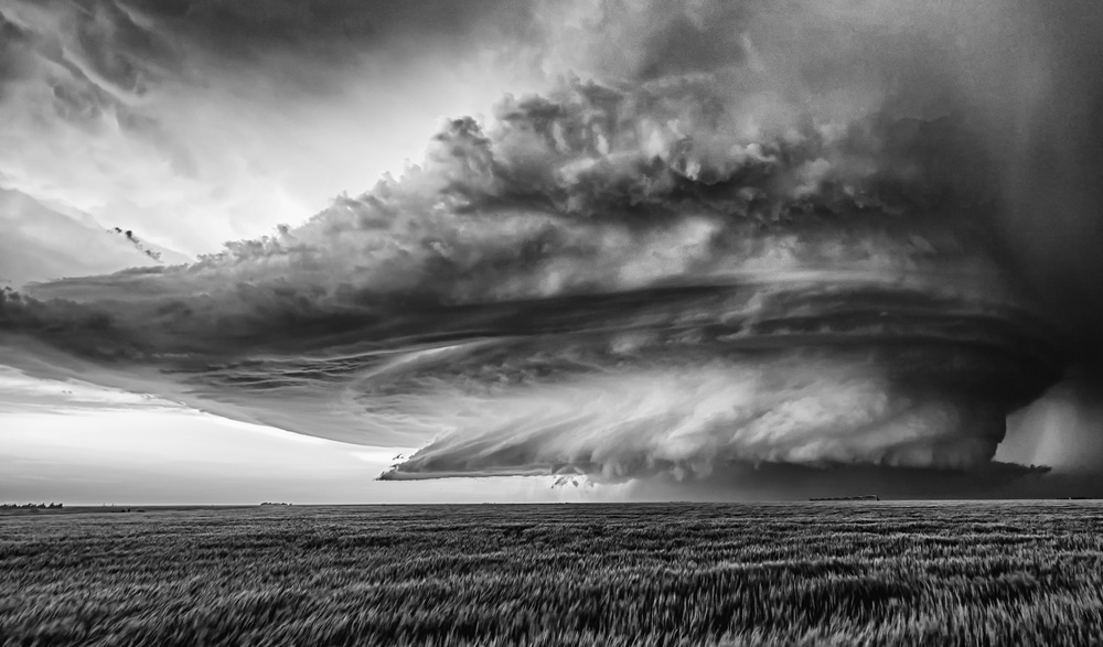 Twisted von Rob Darby