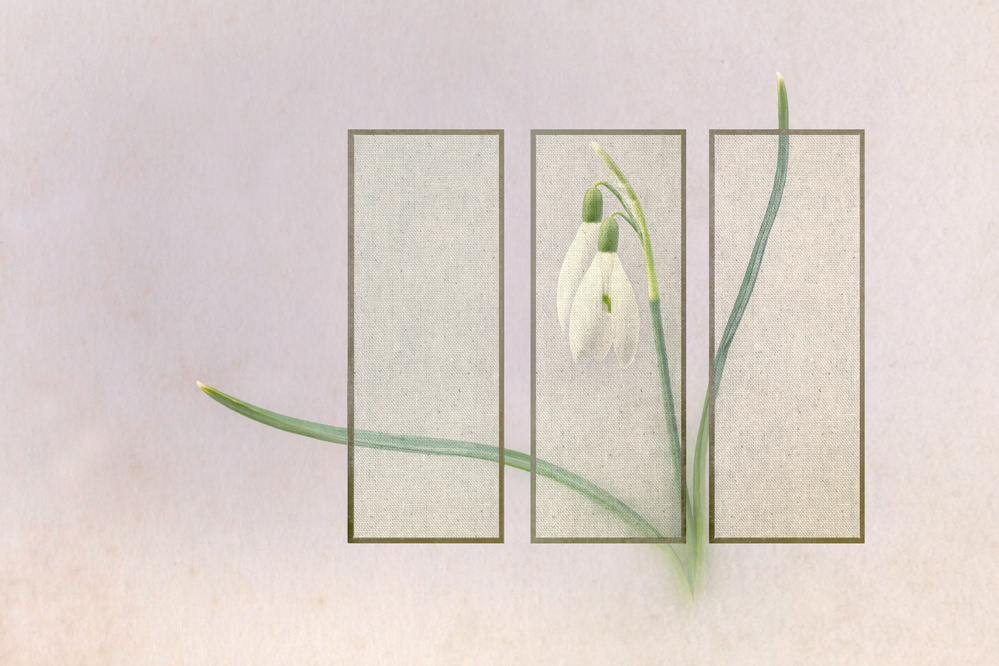 Triptych von Rob Olivier