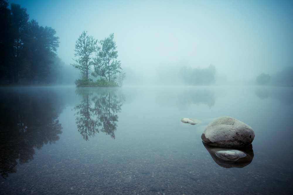 Laguna Morning von Robert Adamec