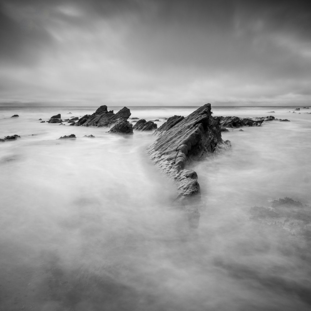 The Lizard Sleeps Tonight von Robert Bolton