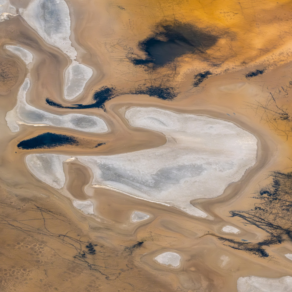 Painter’s Palette von Robert Bolton