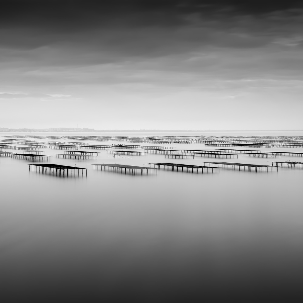 Microchips von Robert Bolton