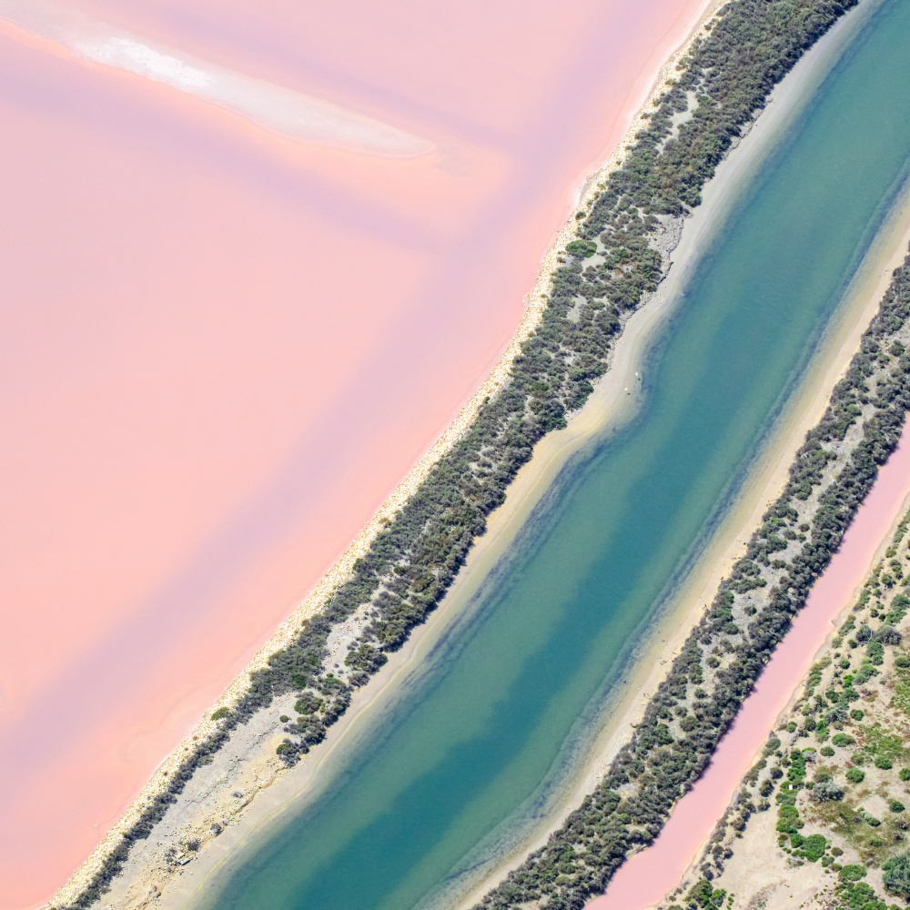 Seasoning von Robert Bolton