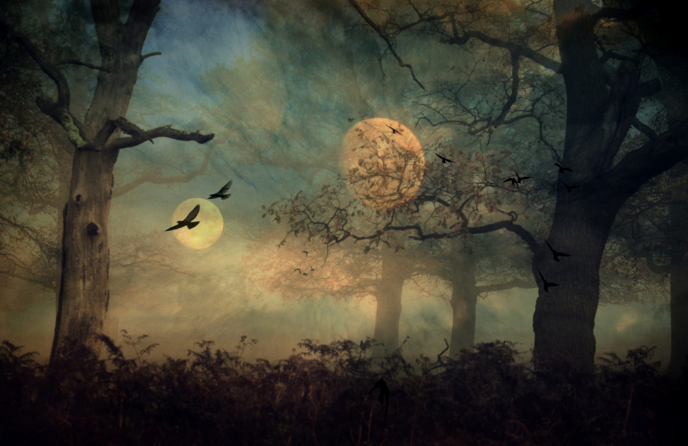 A Strange Day... von Robert Fabrowski