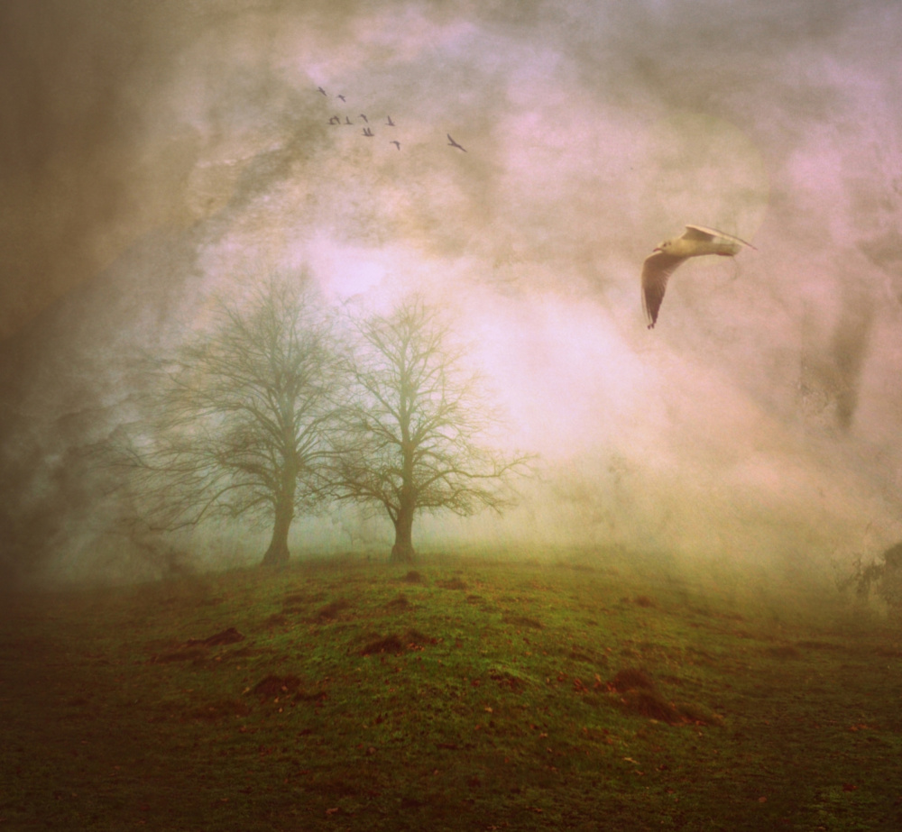 Some Time After... von Robert Fabrowski