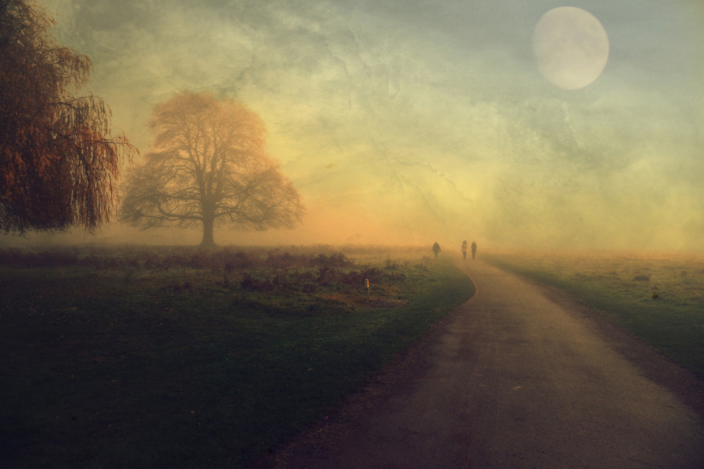 Autumn Thoughts... von Robert Fabrowski