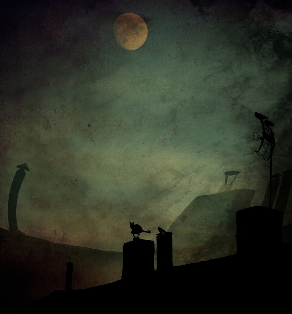 Cat Stories... von Robert Fabrowski