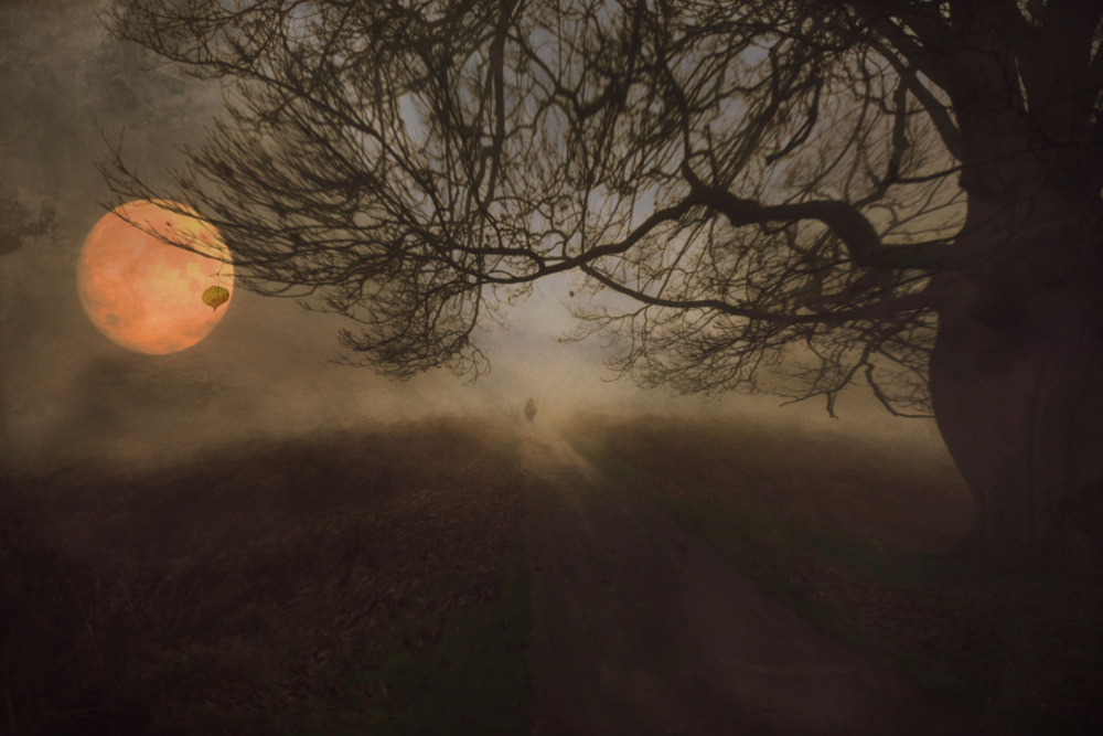 October Rust... von Robert Fabrowski